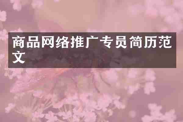 商品网络推广专员简历范文