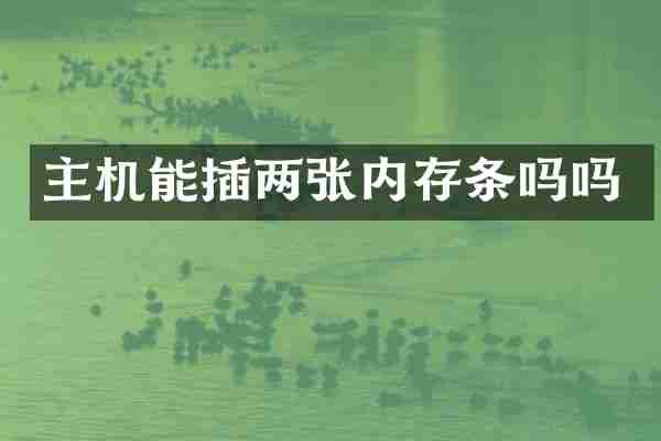 主机能插两张内存条吗吗
