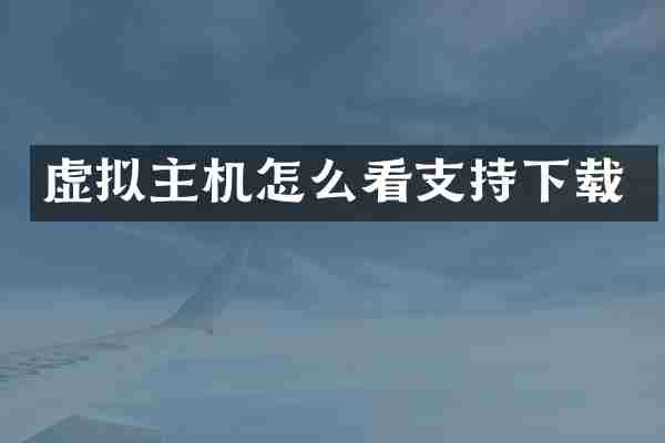 虚拟主机怎么看支持下载