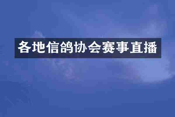 各地信鸽协会赛事直播