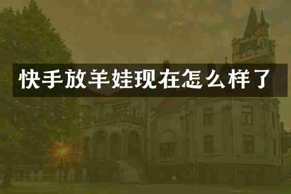 快手放羊娃现在怎么样了