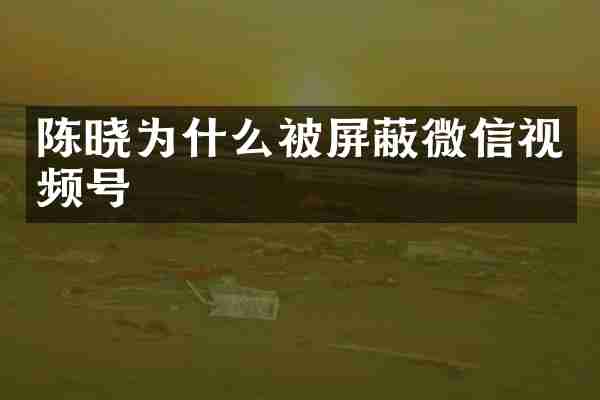 陈晓为什么被屏蔽微信视频号