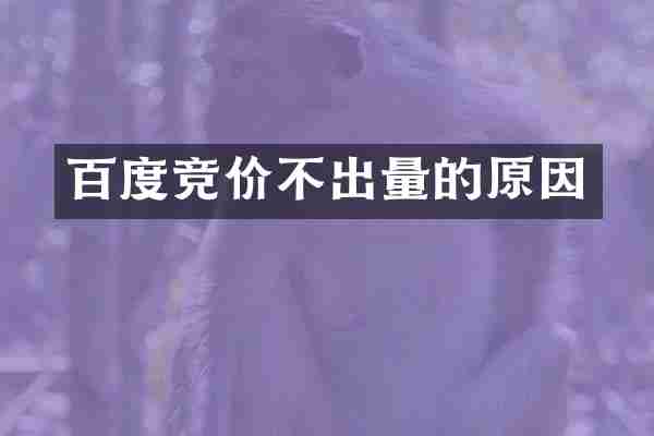 百度竞价不出量的原因