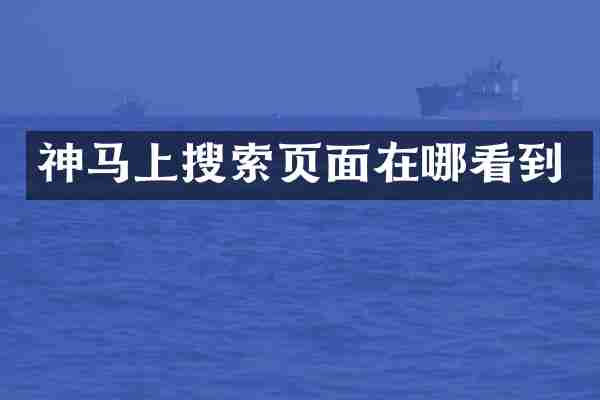 神马上搜索页面在哪看到