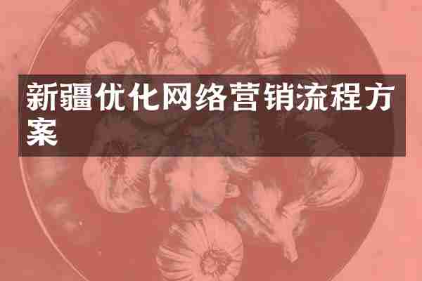 新疆优化网络营销流程方案