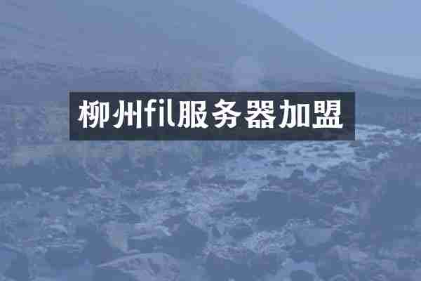 柳州fil服务器加盟