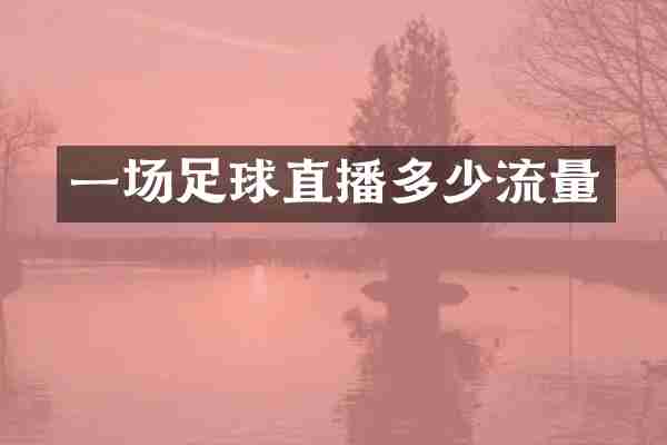 一场足球直播多少流量