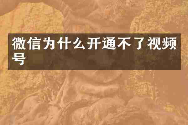 微信为什么开通不了视频号