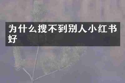 为什么搜不到别人小红书好