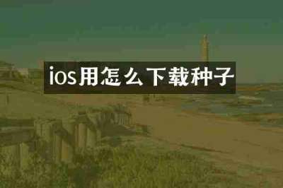 ios用怎么下载种子