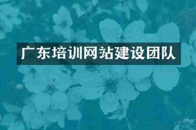 广东培训网站建设团队