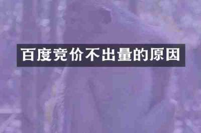 百度竞价不出量的原因