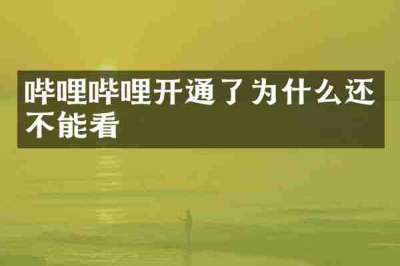 哔哩哔哩开通了为什么还不能看