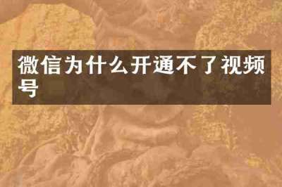 微信为什么开通不了视频号