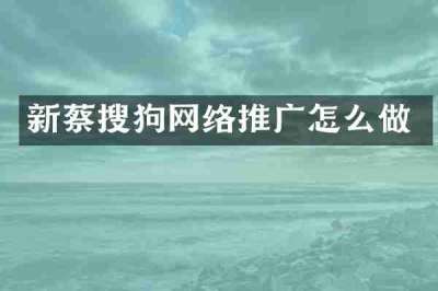 新蔡搜狗网络推广怎么做