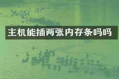 主机能插两张内存条吗吗