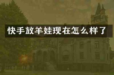 快手放羊娃现在怎么样了