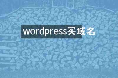 wordpress买域名