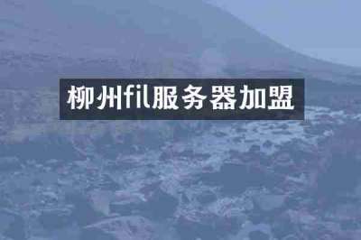 柳州fil服务器加盟