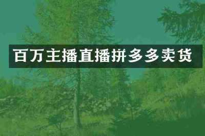 百万主播直播拼多多卖货