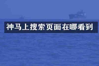 神马上搜索页面在哪看到