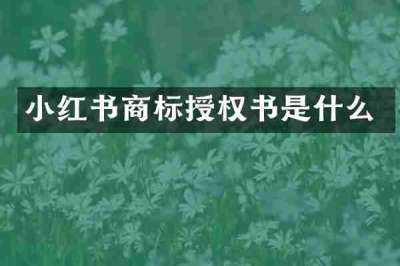 小红书商标授权书是什么