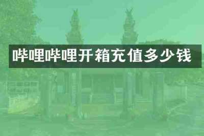 哔哩哔哩开箱充值多少钱