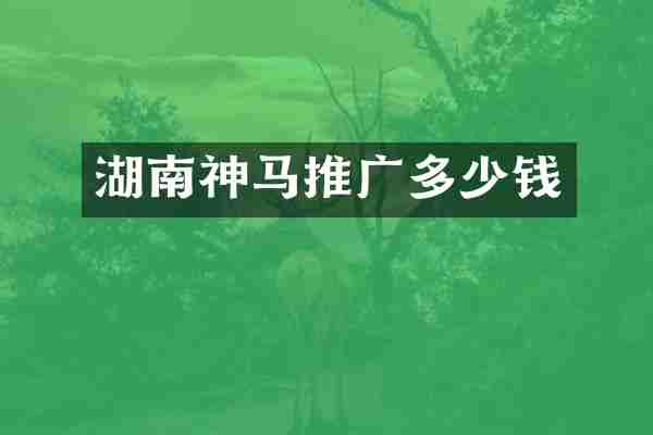 湖南神马推广多少钱
