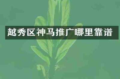 越秀区神马推广哪里靠谱