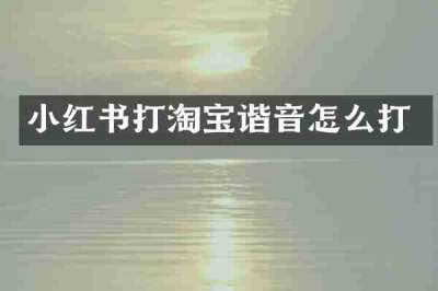 小红书打淘宝谐音怎么打