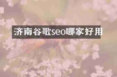 济南谷歌seo哪家好用