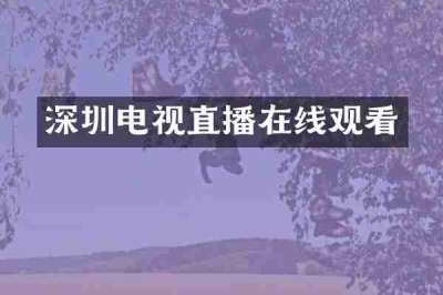 深圳电视直播在线观看