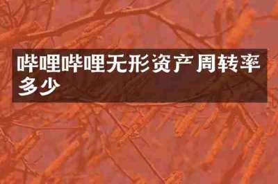 哔哩哔哩无形资产周转率多少