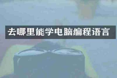 去哪里能学电脑编程语言