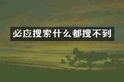 必应搜索什么都搜不到