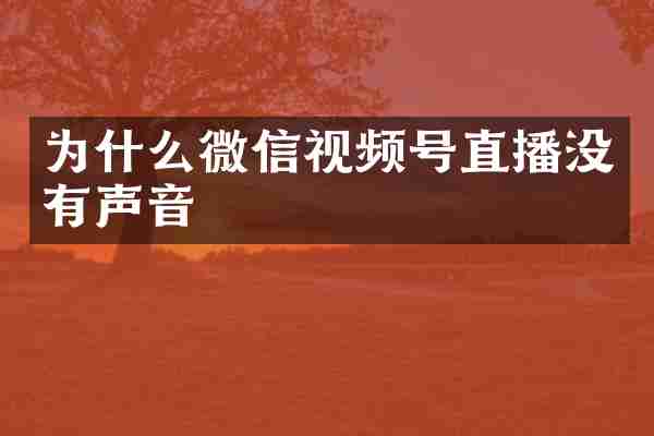 为什么微信视频号直播没有声音