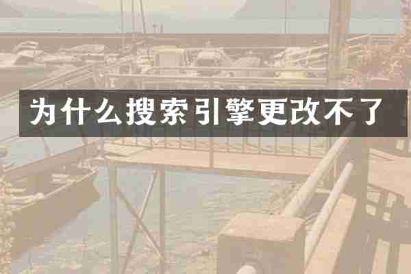 为什么搜索引擎更改不了