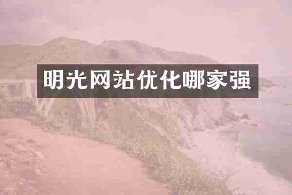 明光网站优化哪家强