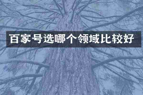 百家号选哪个领域比较好