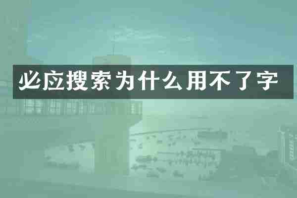 必应搜索为什么用不了字