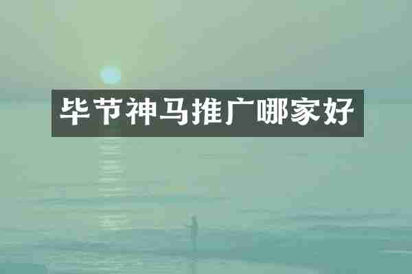 毕节神马推广哪家好