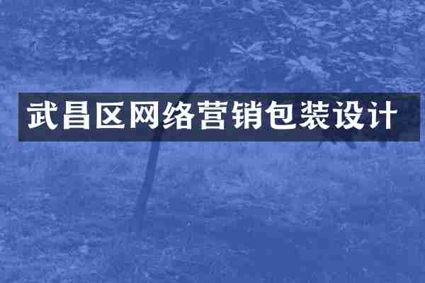 武昌区网络营销包装设计