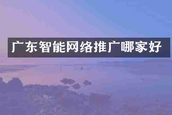 广东智能网络推广哪家好