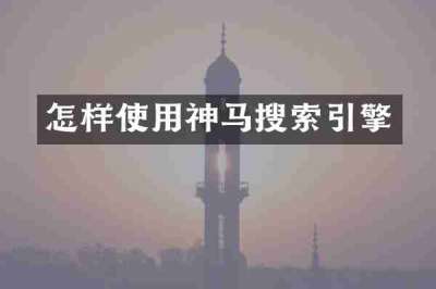 怎样使用神马搜索引擎