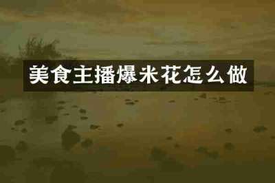 美食主播爆米花怎么做