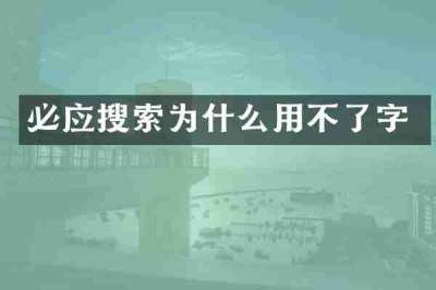 必应搜索为什么用不了字