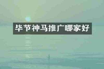 毕节神马推广哪家好
