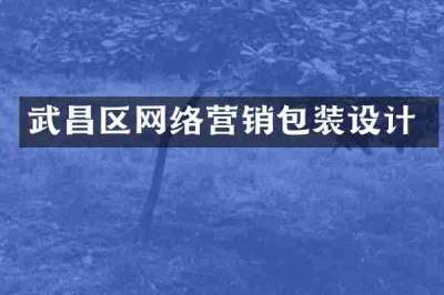 武昌区网络营销包装设计