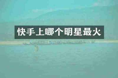 快手上哪个明星最火