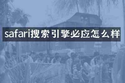 safari搜索引擎必应怎么样